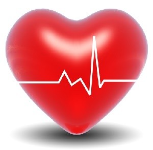 cardiovascular