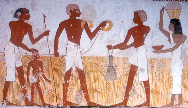 agricultura historia